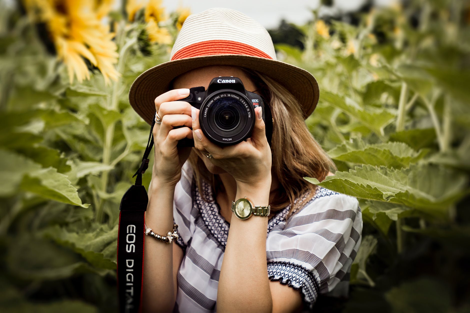Do Professional Photographers Use Mirrorless Cameras?