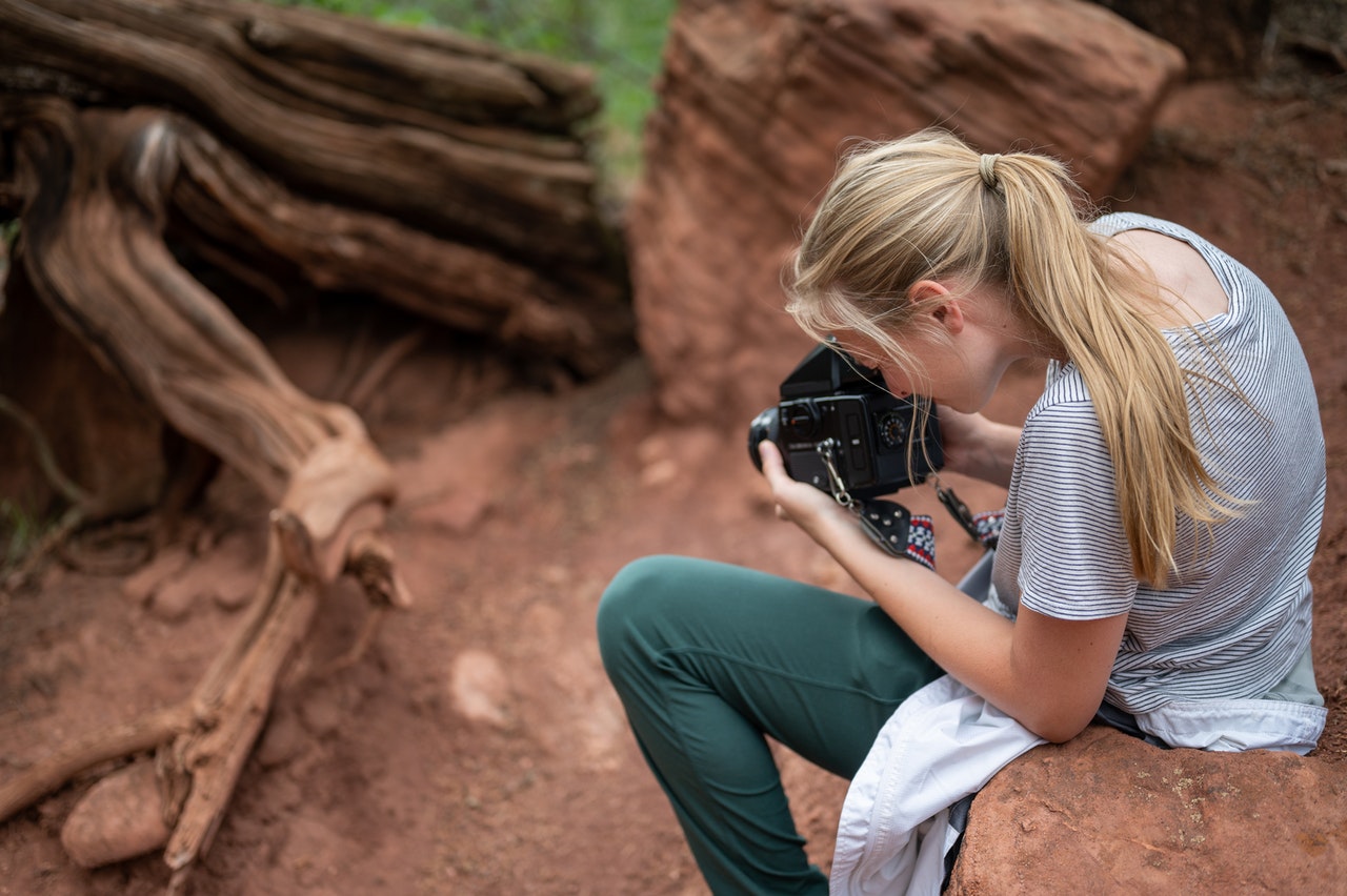 6 Best Mirrorless Cameras For Wildlife Photography